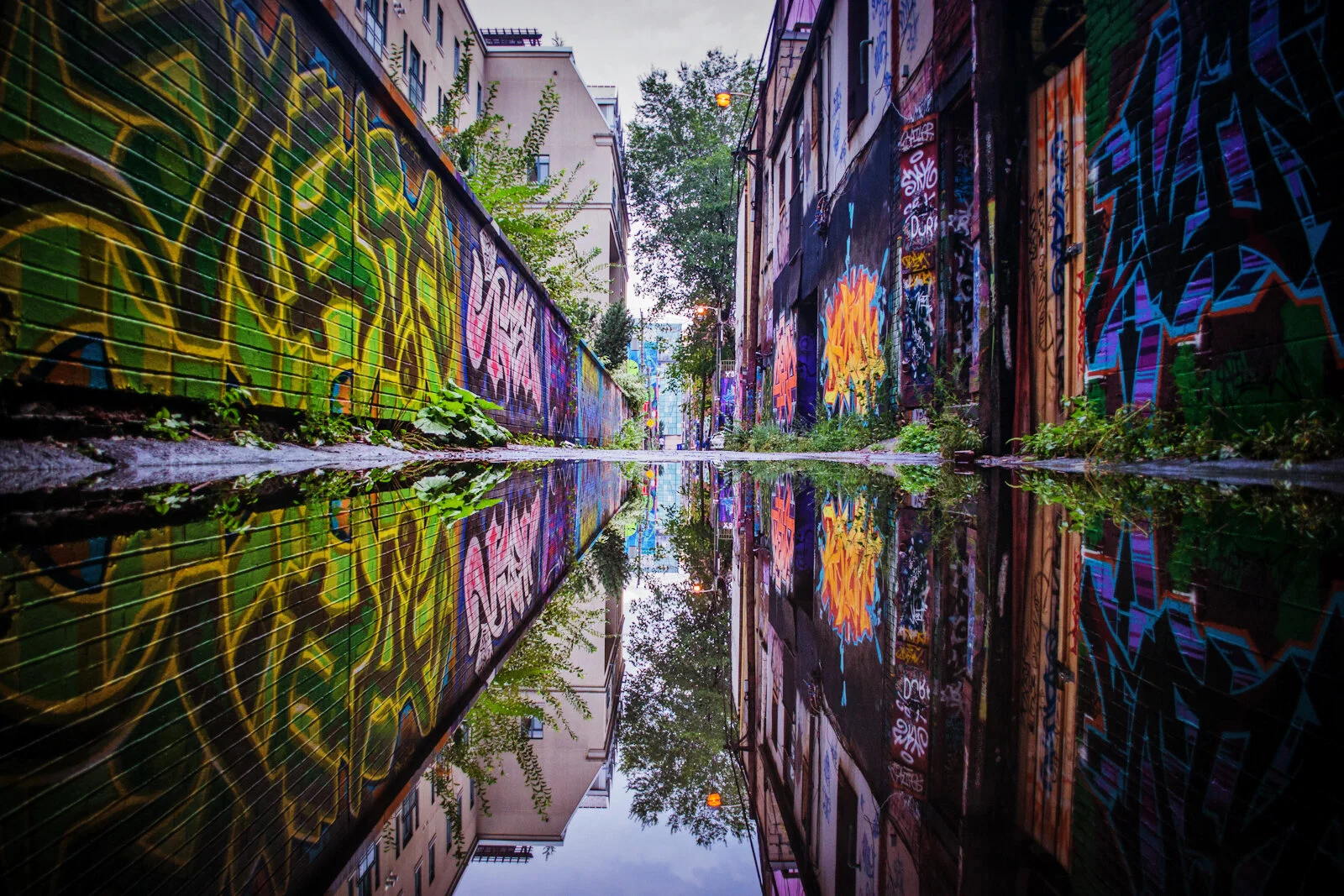 Building a Laneway Suite in Scarborough or East End of Toronto