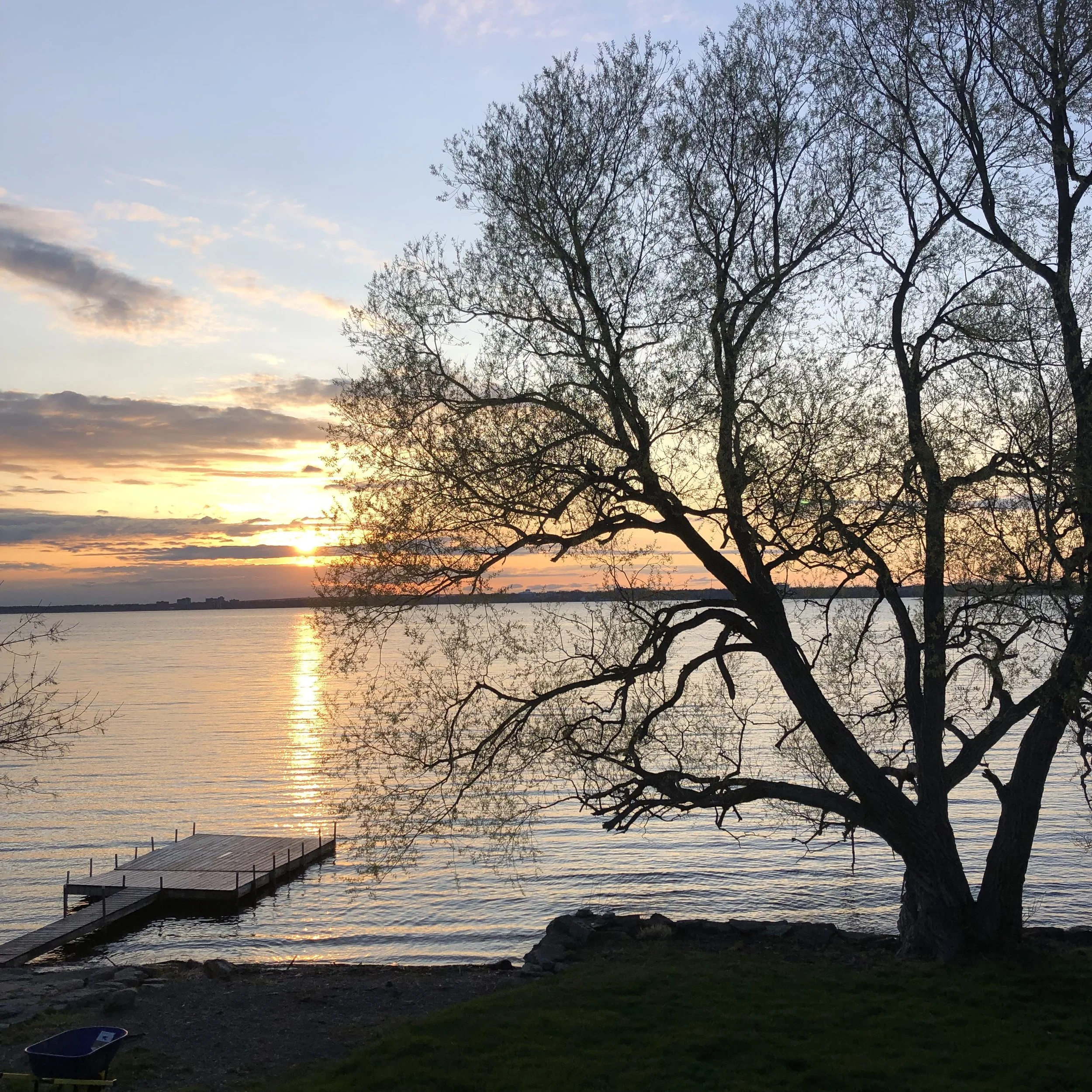 Waterfront Renovation Project in Prince Edward County