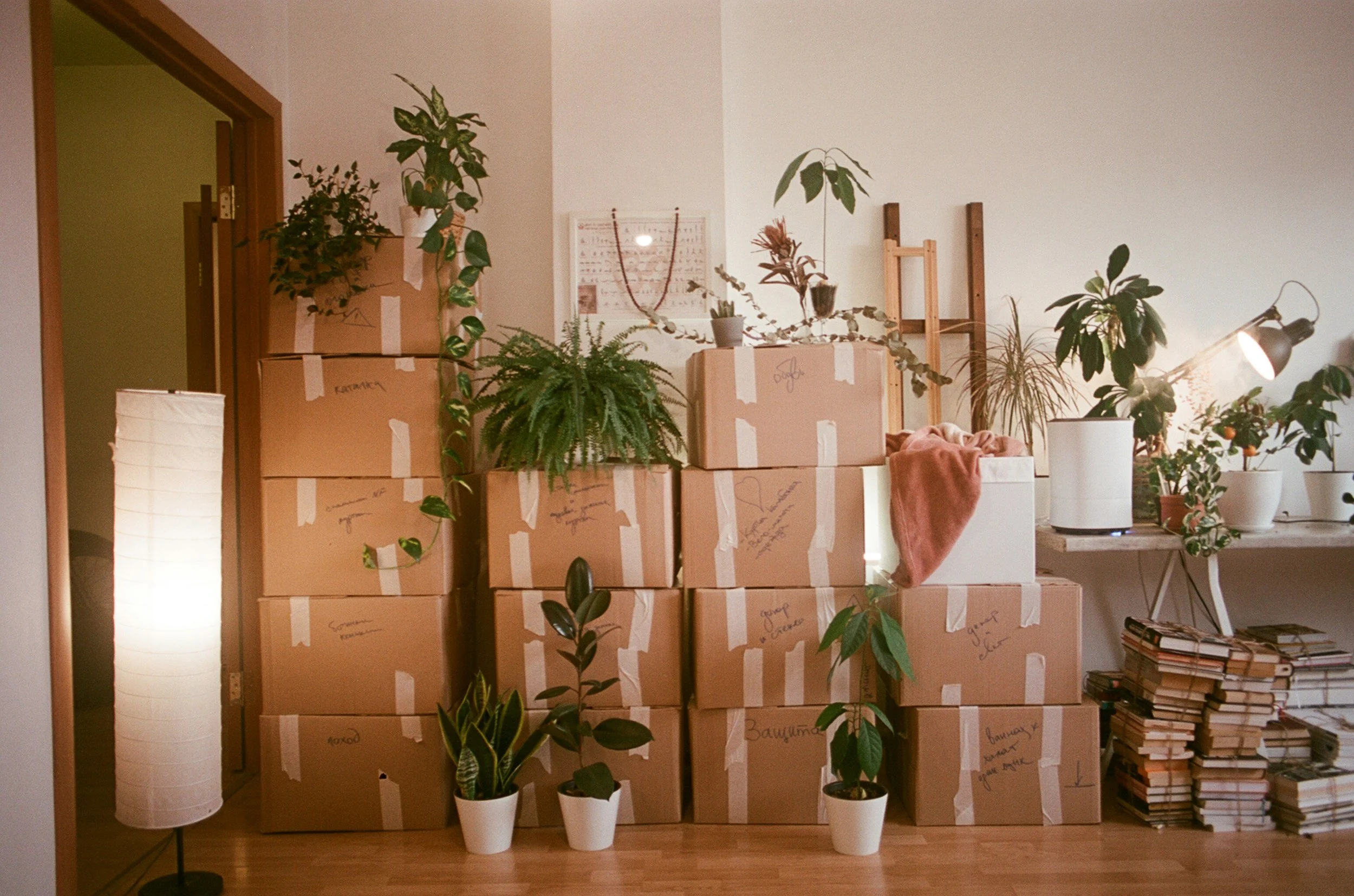 A Guide to Home Building Versus Moving in Toronto