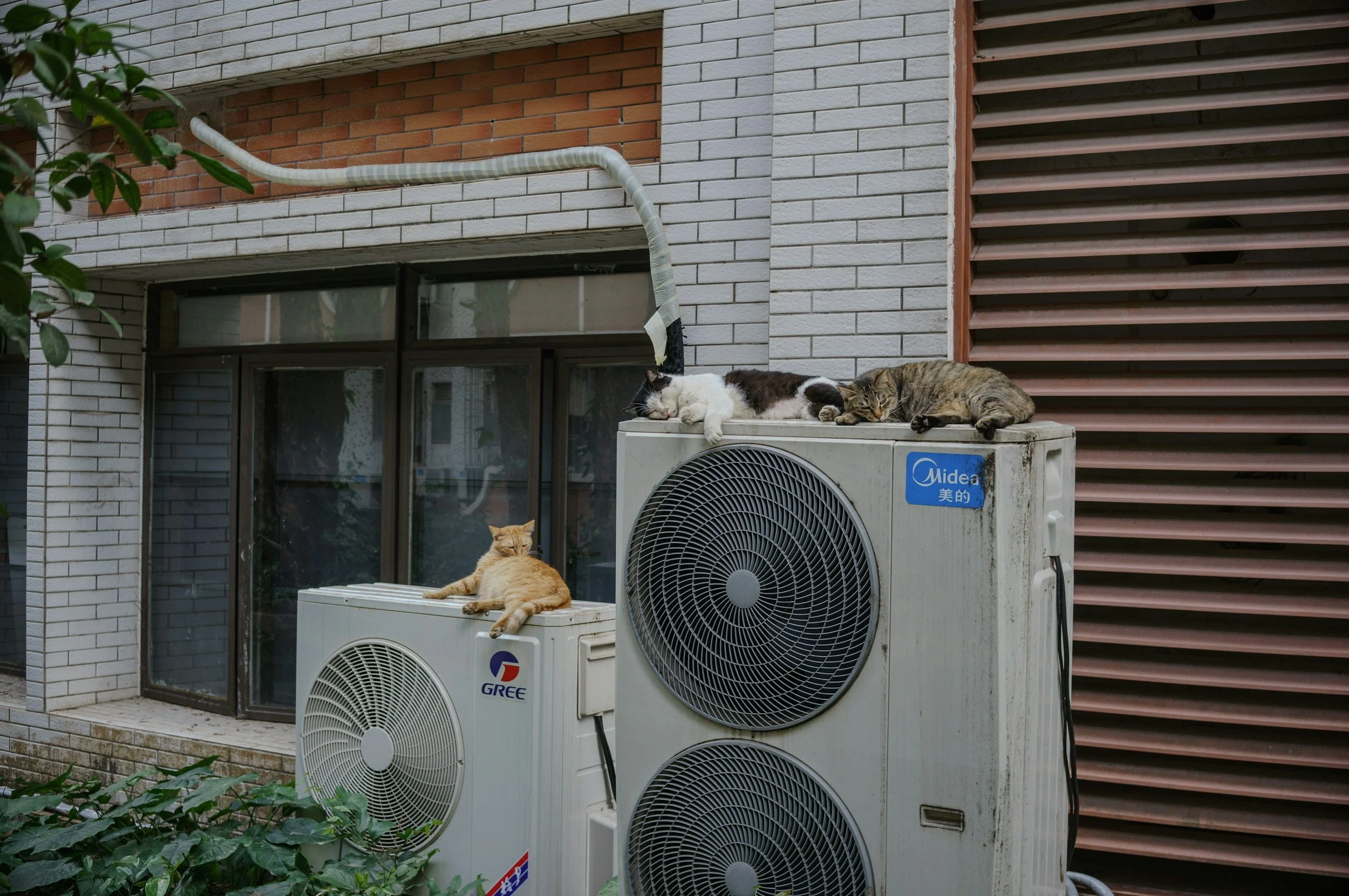Summary of Cold-Climate Heat Pumps For Toronto